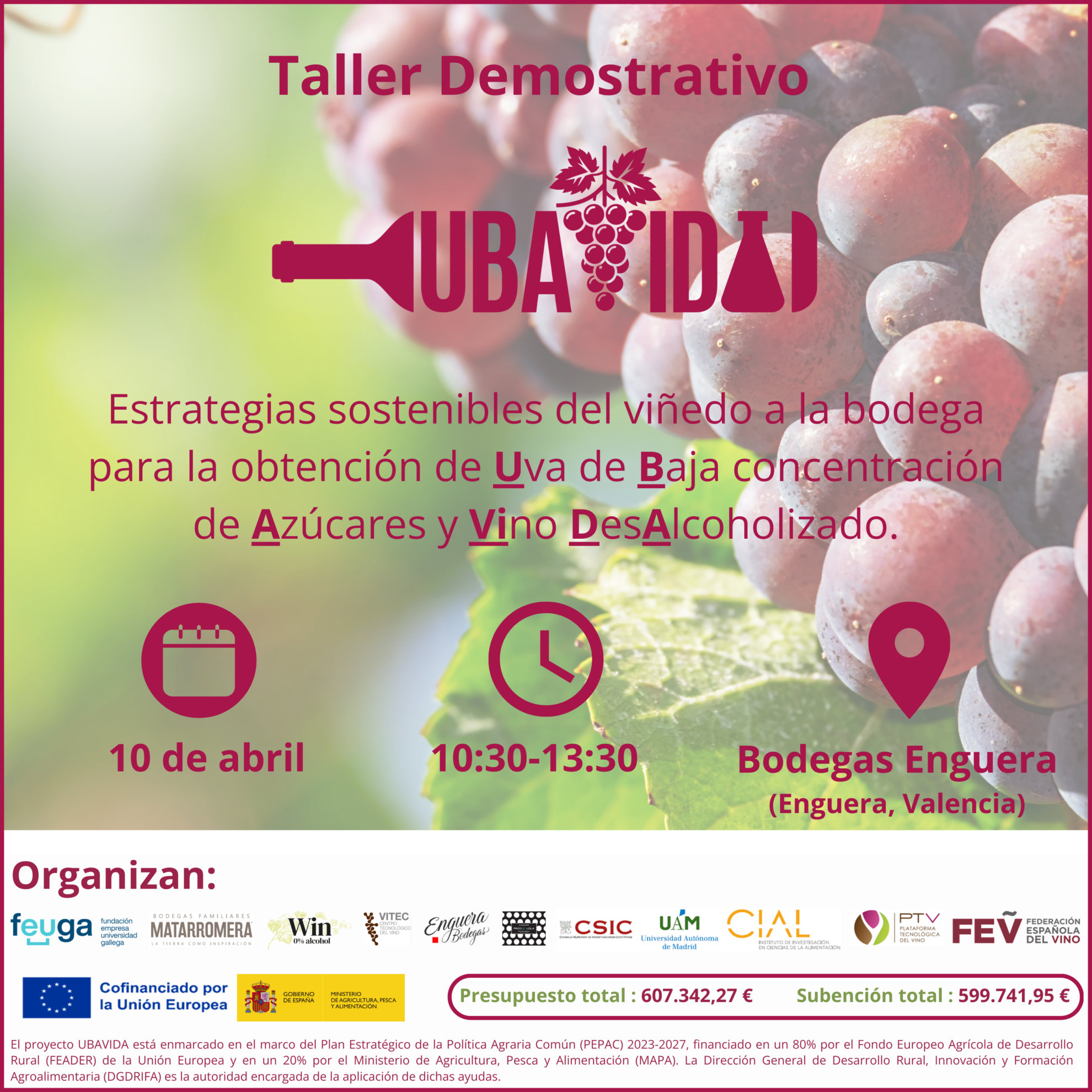 UBAVIDA_Taller Demostrativo_Banner_RRSS